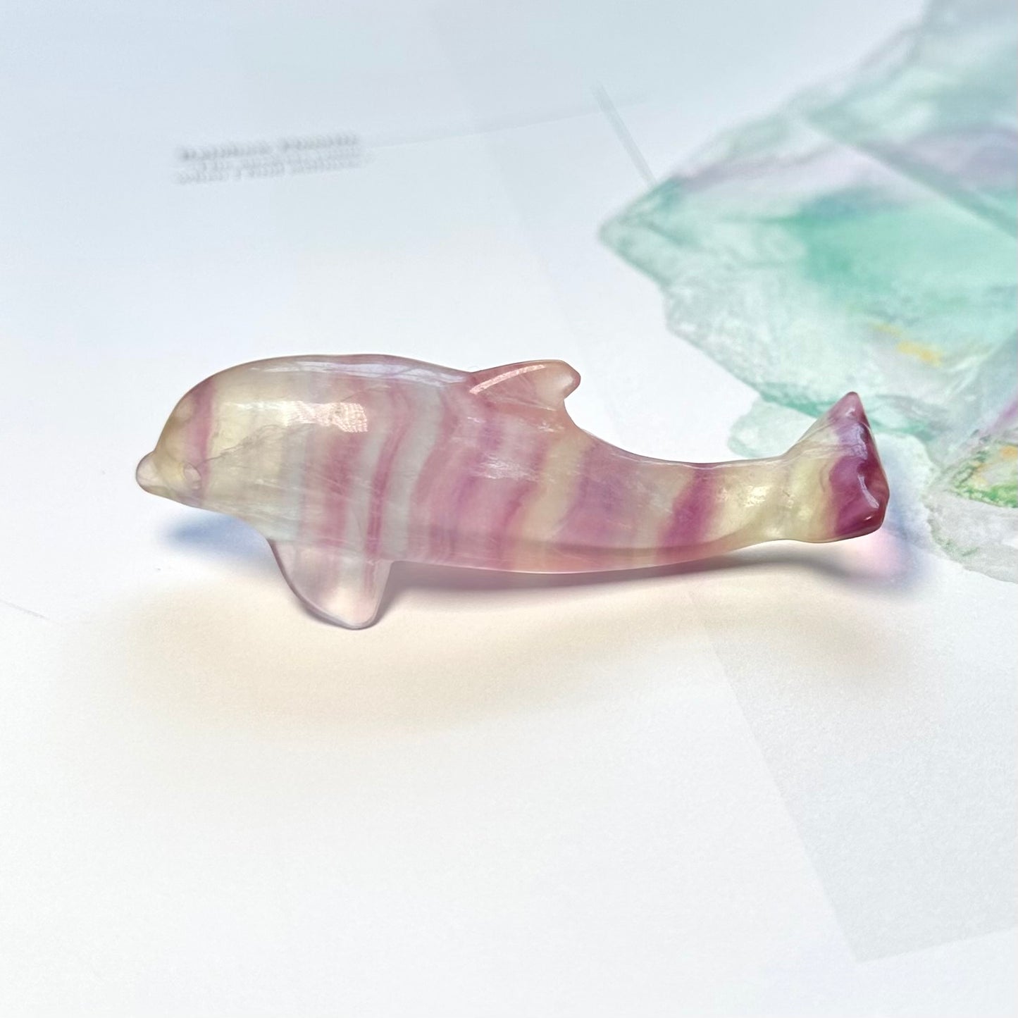 Candy Fluorite Dolphin