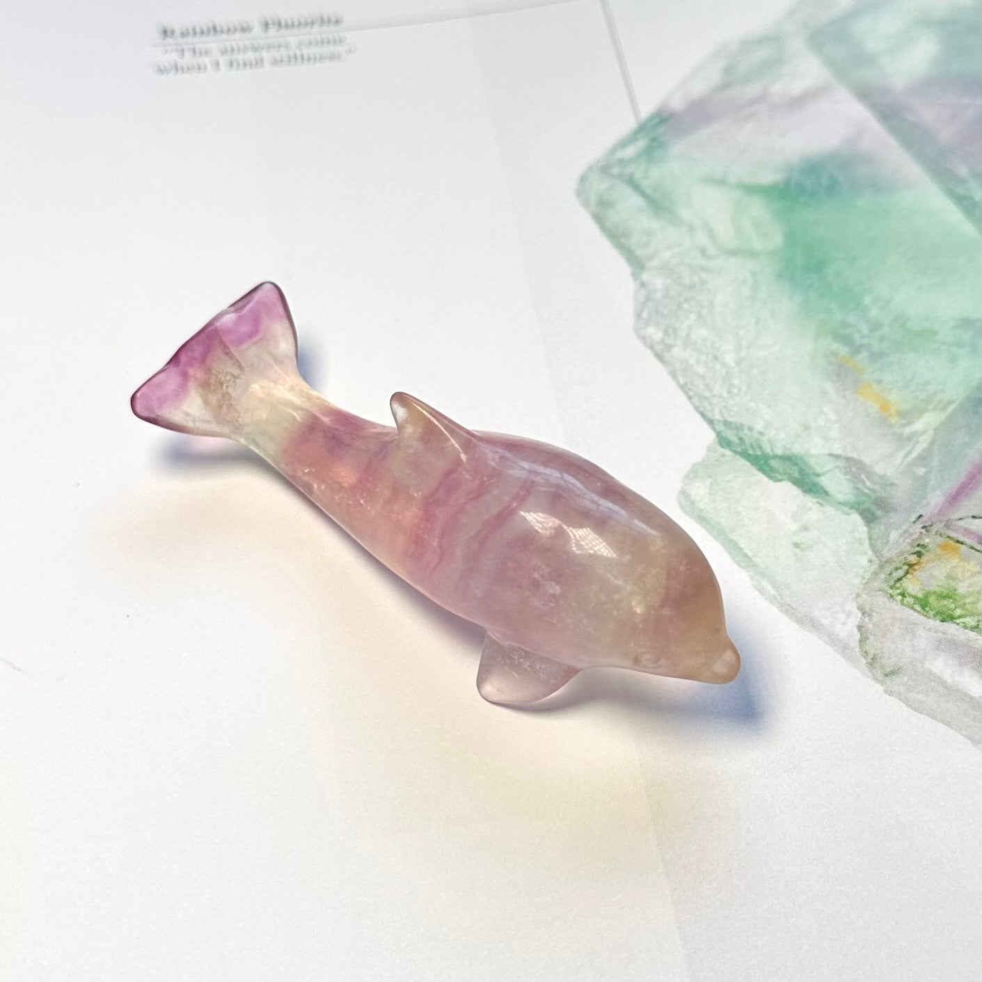 Candy Fluorite Dolphin