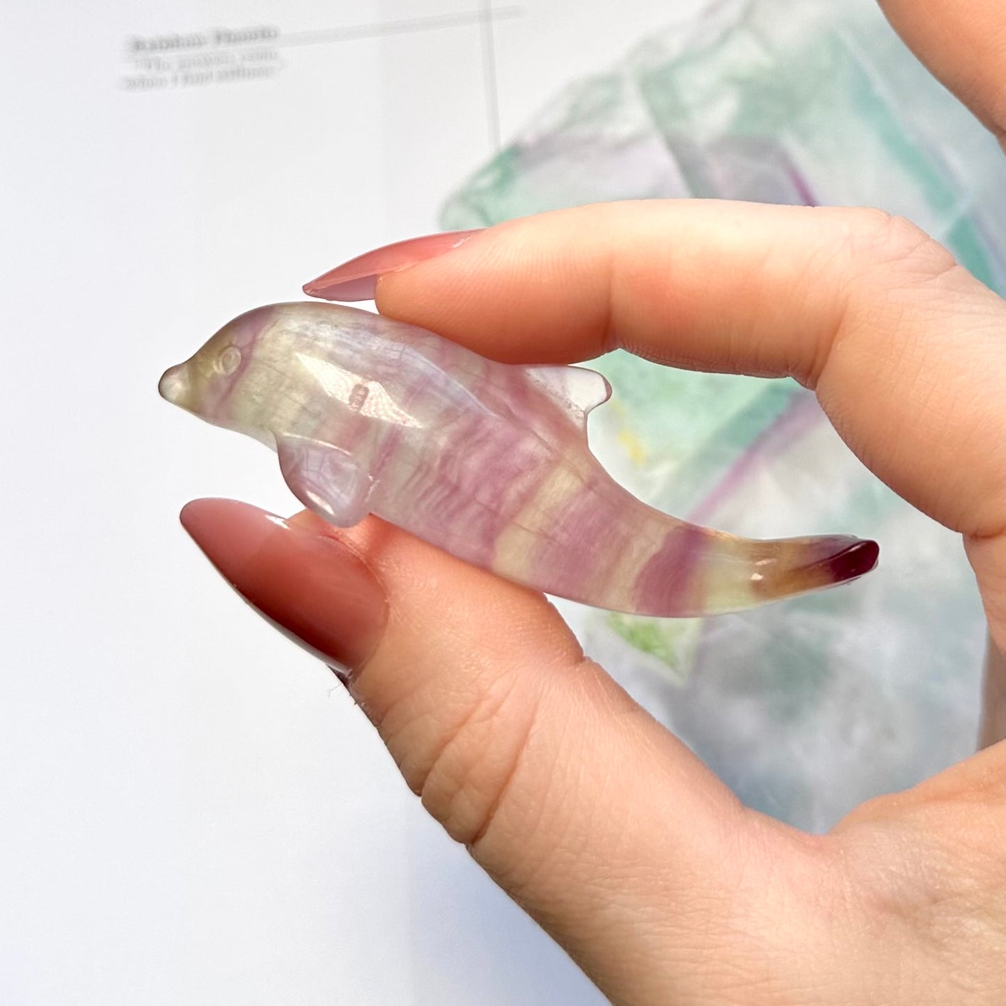 Candy Fluorite Dolphin