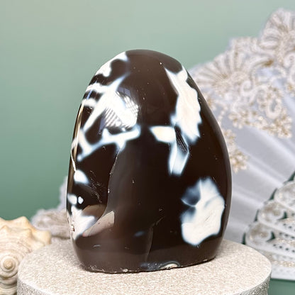 Orca Agate Free Form