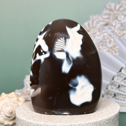 Orca Agate Free Form