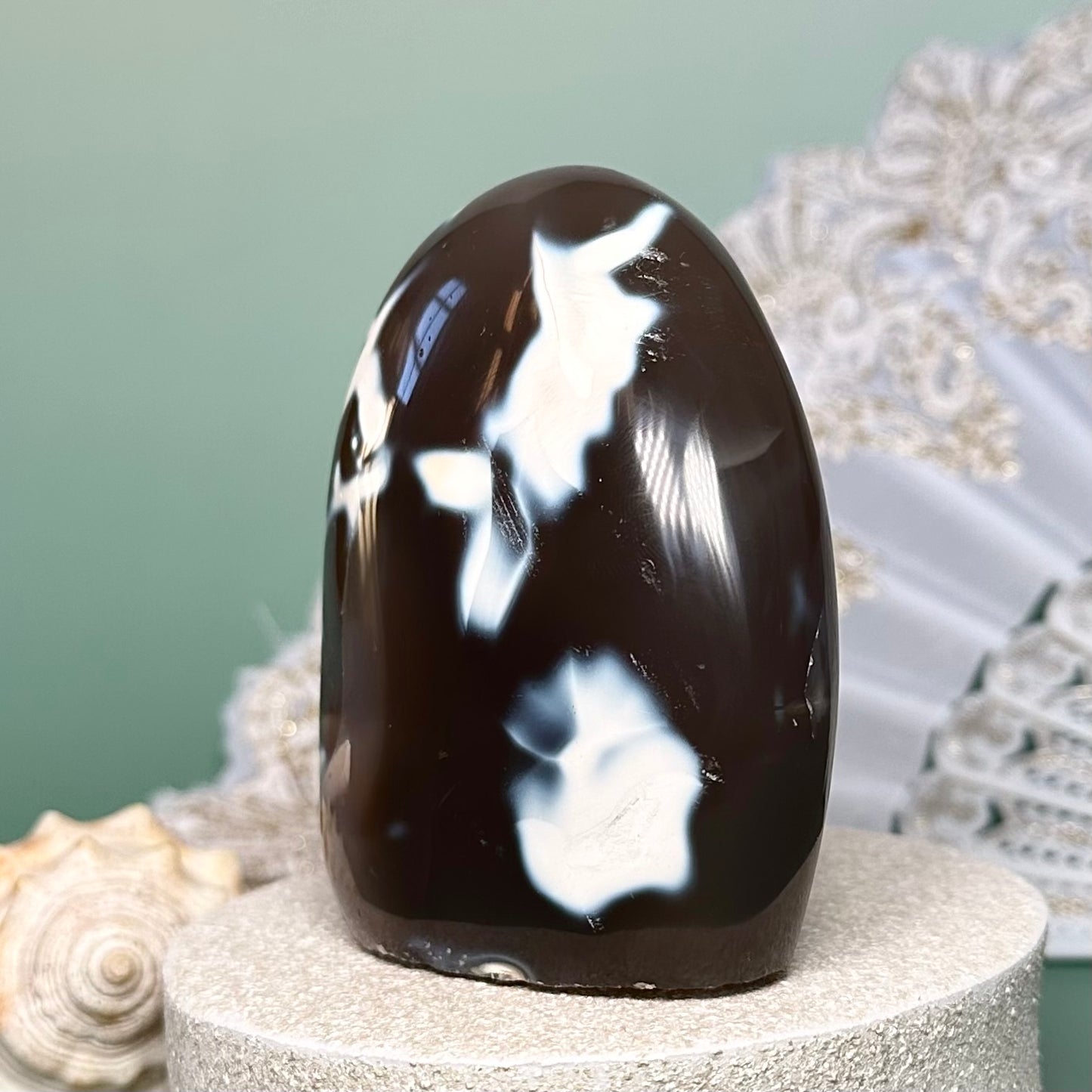 Orca Agate Free Form