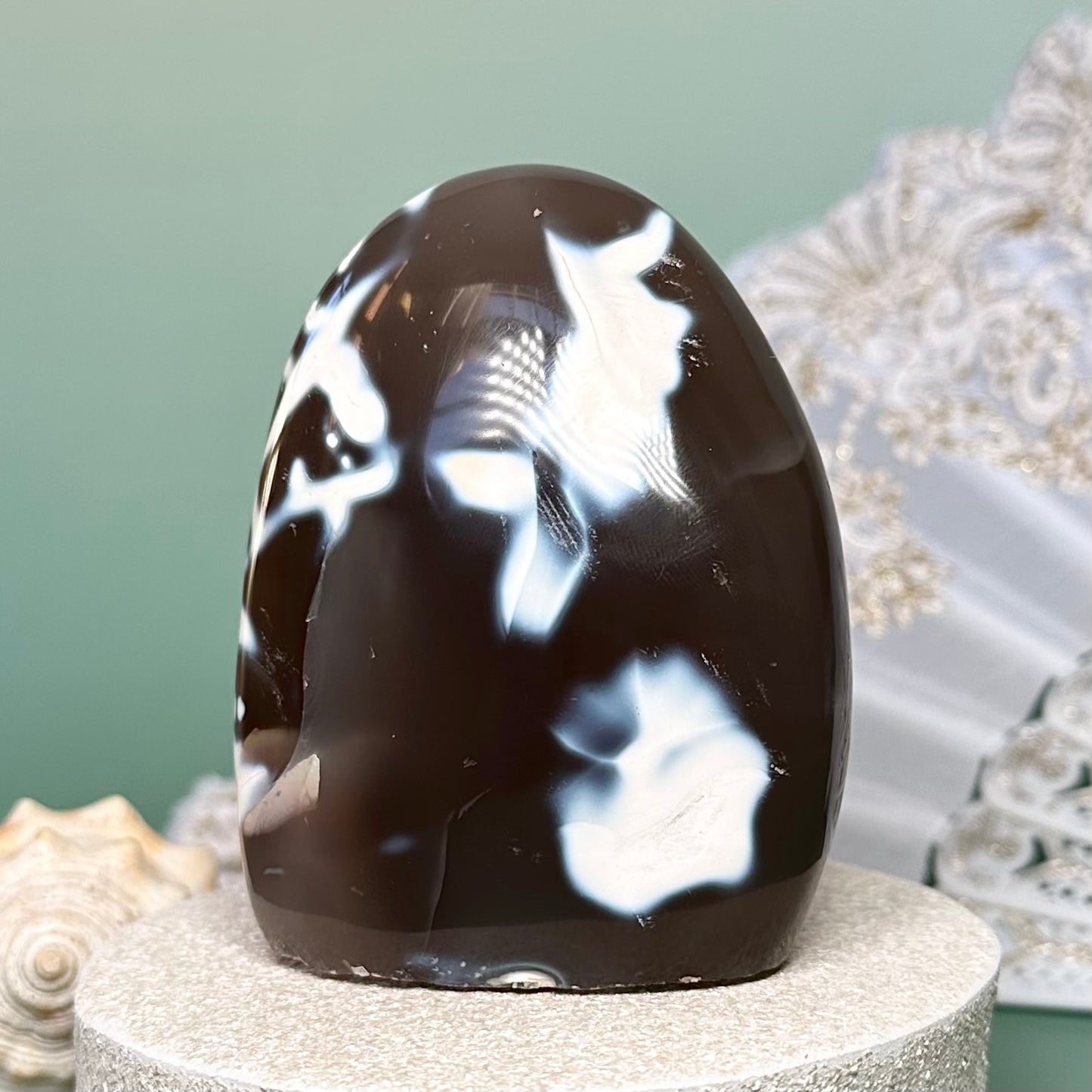 Orca Agate Free Form