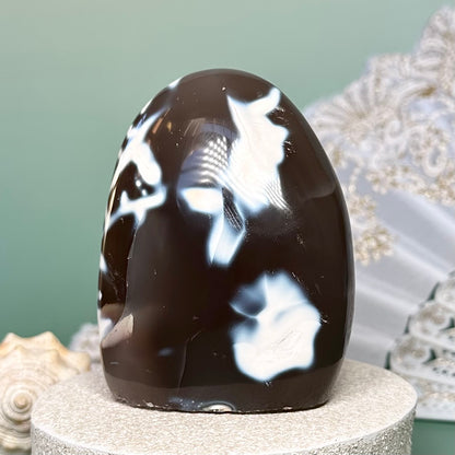 Orca Agate Free Form