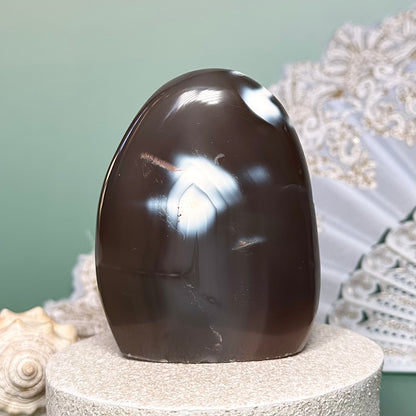 Orca Agate Free Form