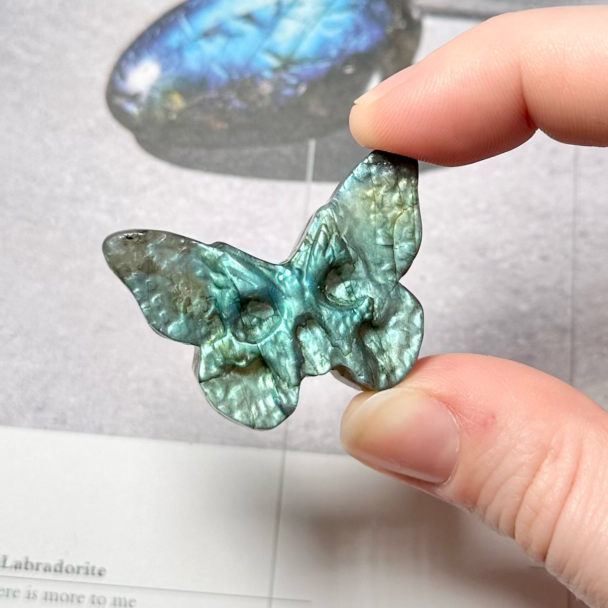 Labradorite Skull Butterfly