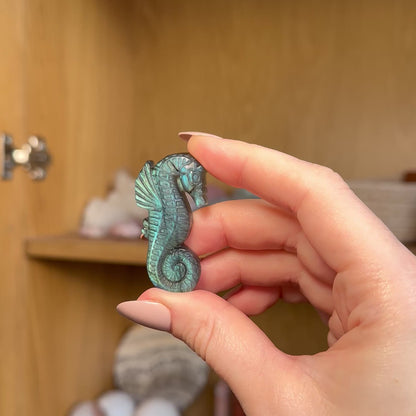 Labradorite Seahorse