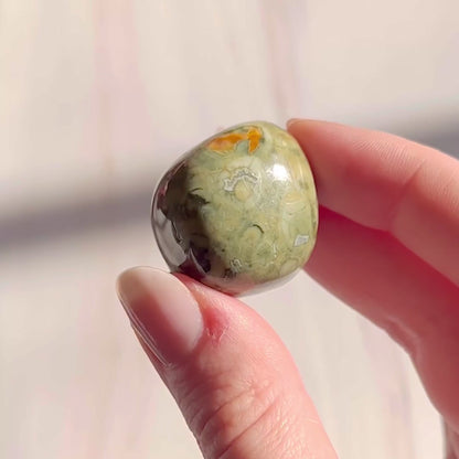 Rainforest Jasper Tumblestones