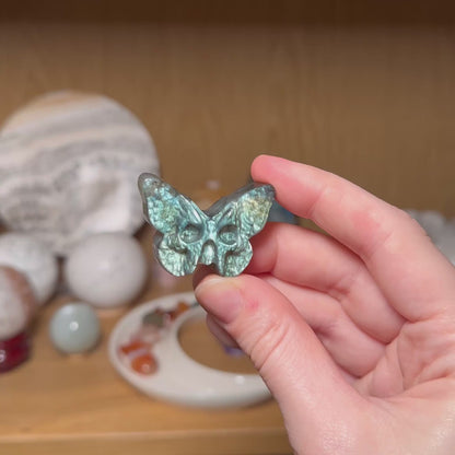 Labradorite Skull Butterfly