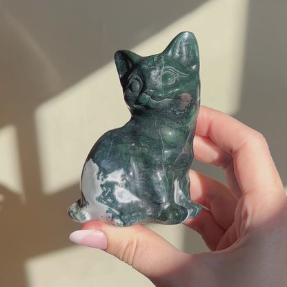 Moss Agate Cat