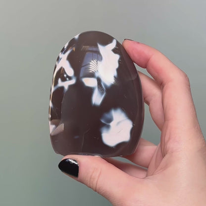 Orca Agate Free Form